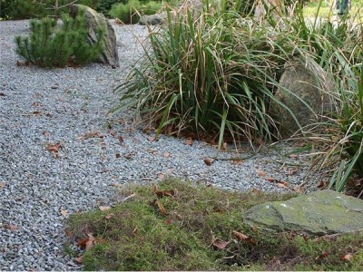 Our products minimise garden maintenance  - A P Hayden Bark - Bark, Mulch & Peat Moss Supplies, Ireland