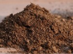 Peat Moss