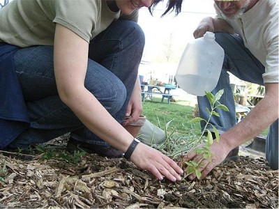 Bark chip is easy to distribute & clean to handle - available from A P Hayden Bark - Mulch, Bark Chip & Peat Moss, Dublin & Kildare, Ireland