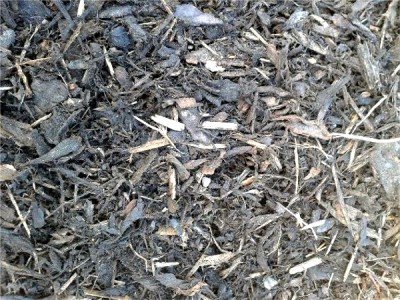 Bark Mulch on a flower bed in Dublin,  Bark, Mulch & Peat Moss Supplies, Ireland by  A P Hayden Bark