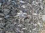 Bark Mulch